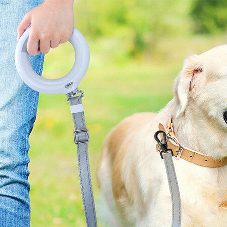 LED Dog Leash Lead Walking Rope White