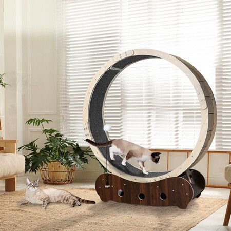 Cat Exercise Wheel Running Treadmill