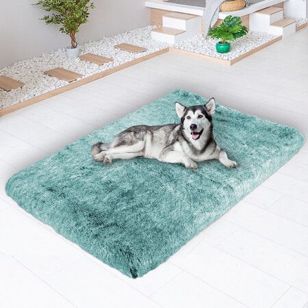 Dog Mat Pet Calming Bed Memory XXL Green XX-Large