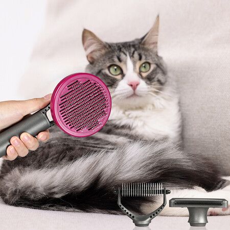 Pet Grooming Tools