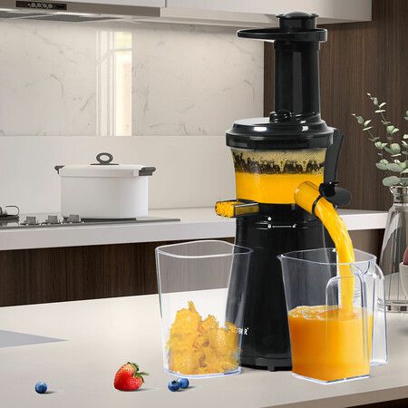 Cold Press Slow Juicer Electric Black