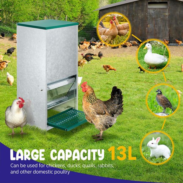 Automatic Chicken Feeder 13L Auto Poultry Rabbit Chook Treadle Food Dispenser Hen Feeding Supplies Bird Rat Water Proof Galvanised Steel