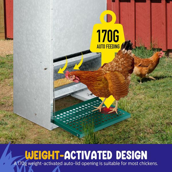 Automatic Chicken Feeder 13L Auto Poultry Rabbit Chook Treadle Food Dispenser Hen Feeding Supplies Bird Rat Water Proof Galvanised Steel