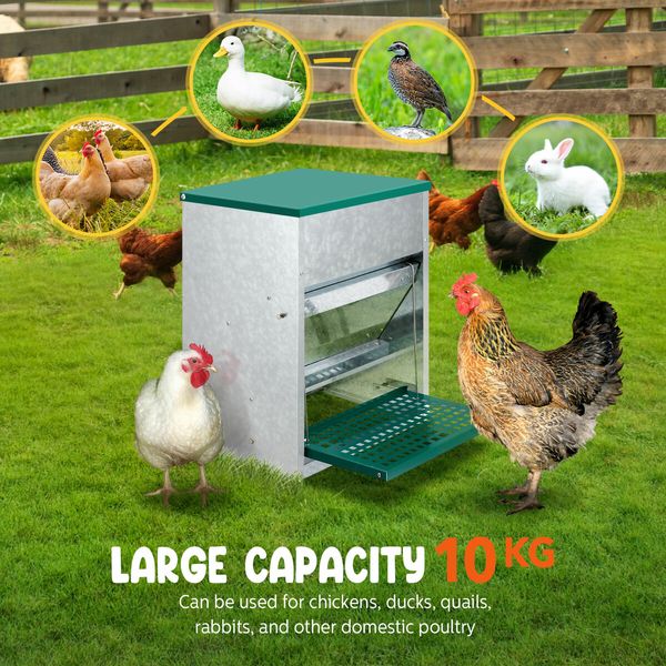 Automatic Chicken Feeder 10kg Auto Poultry Treadle Food Dispenser Rabbit Chook Hen Feeding Supplies Water Rat Bird Proof Galvanised Steel