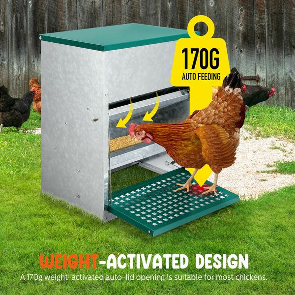 Automatic Chicken Feeder 10kg Auto Poultry Treadle Food Dispenser Rabbit Chook Hen Feeding Supplies Water Rat Bird Proof Galvanised Steel