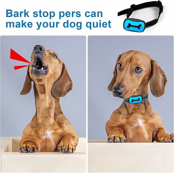 Dog Anti Barking Collar, No Shock Dog Training Collar, Anti Barking Device for Dogs Indoor Sonic Bark Deterrents with Humane Beep Vibration, 6 Sensitivity Levels for Small Medium Large Dogs