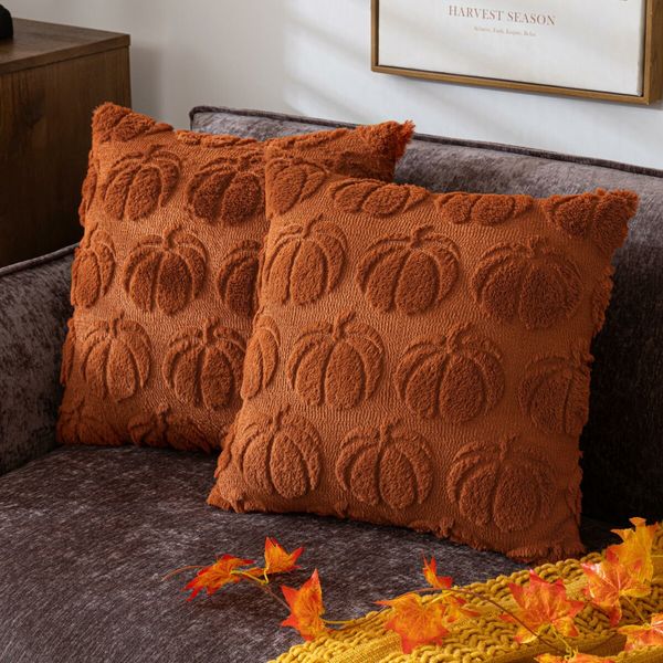 Pumpkin Fall Decorative Throw Pillow Covers,Set of 2 Rust Red Soft Faux Fur Pillow Covers for Autumn Harvest,Fluffy Plush Accent Pillow Cases for Farmhouse Couch Cushion Covers (Brown,45 x 45cm)