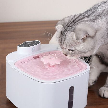 Pet Water Fountain, Wireless Automatic Cat Fountain for Cats and Dog with Motion Sensor Operated Pet Water Dispenser