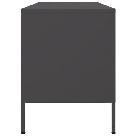 TV Cabinet Black 100.5x39x50.5 cm Steel