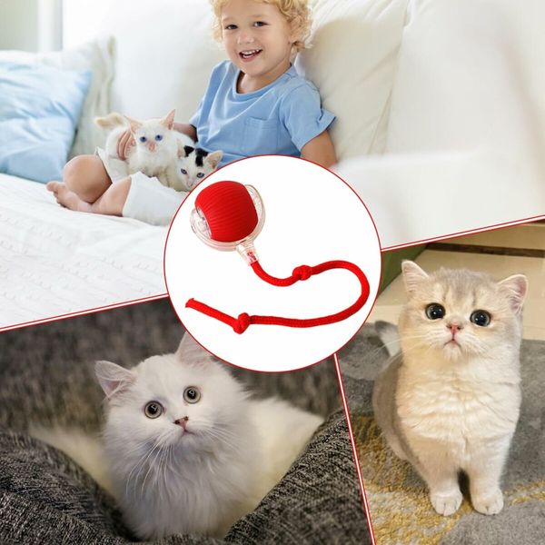 Pet Smart Rolling Ball, Cat Toy Ball, Electric Cat Toy Ball, Self Entertainment Cat Ball, Indoor Cat Toys, Red