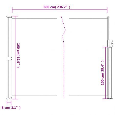 Retractable Side Awning Black 160x600 cm