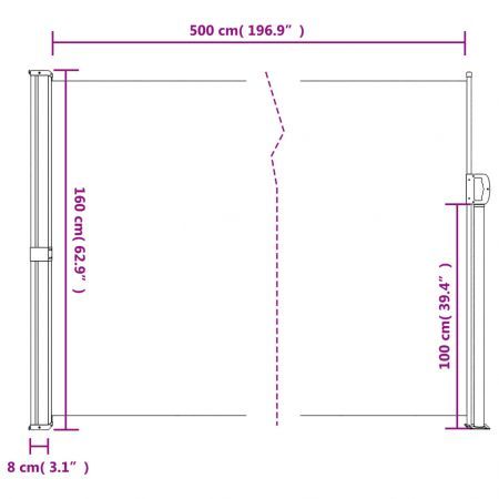 Retractable Side Awning Black 160x500 cm