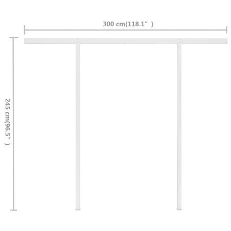 Manual Retractable Awning with Posts 3x2.5 m Anthracite