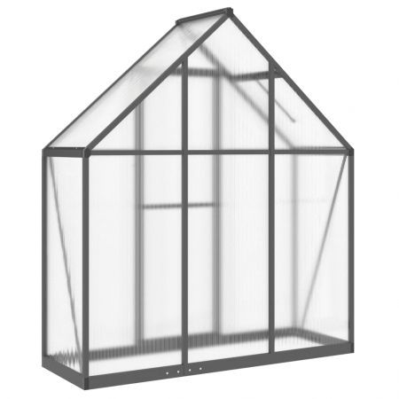 Greenhouse with Base Frame Anthracite 169x58x195 cm Aluminium