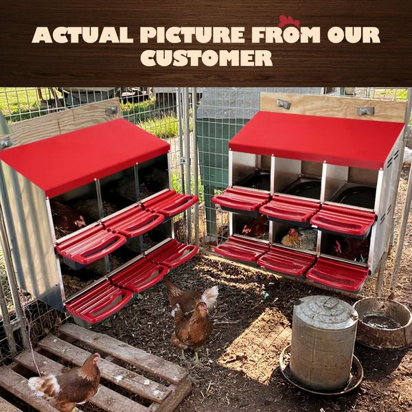 2 Layer 6 Hole Chicken Nesting Box Roll Away Hen Chook Laying Boxes House Poultry Nest Egg Brooder Coop Roost Perch Galvanised Metal Plastic Vents Lid