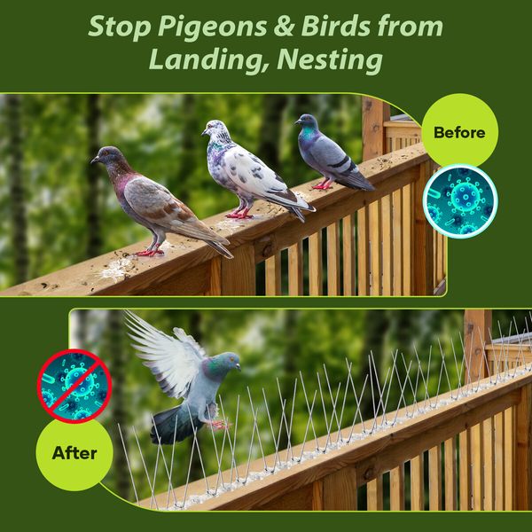 40pcs Anti Bird Spike Kit Deterrent Repellent Pigeon Pest Control Fence Humane Steel Prevention Arrows PC Bases