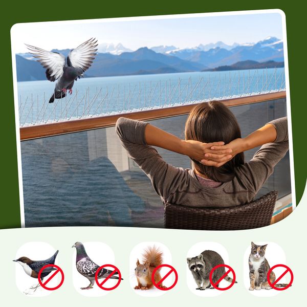 40pcs Anti Bird Spike Kit Deterrent Repellent Pigeon Pest Control Fence Humane Steel Prevention Arrows PC Bases