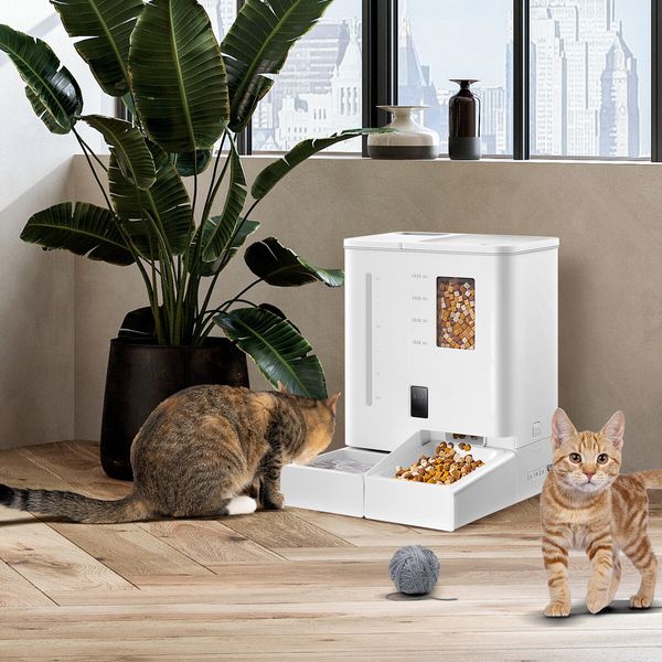 4L Automatic Pet Feeder 5L Waterer Set WiFi Smart Camera Record App Control Cat Dog Water Food Dispense Timed Digital Feeding Drinking PetScene