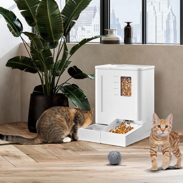 PetScene Automatic Cat Feeder Waterer Set Smart Pet Dog Food Water Dispenser Puppy Kitten 4L Feeding 5L Drinking System with Voice Recording