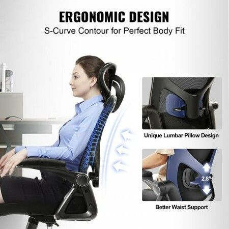 Office Chair with Adjustable Lumbar Support, High Back Ergonomic Desk Chair with Adjustable Headrest, 2D Armrest, Ergonomic Office Chair Backrest, Computer Chair for Home Office