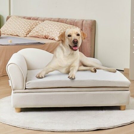 Pet Sofa, Dog Couch for Large-Sized Dogs and Cats, 36x23x16 inch Soft Velvety Dog Sofa Bed, 50 kg Loading Cat Sofa, White