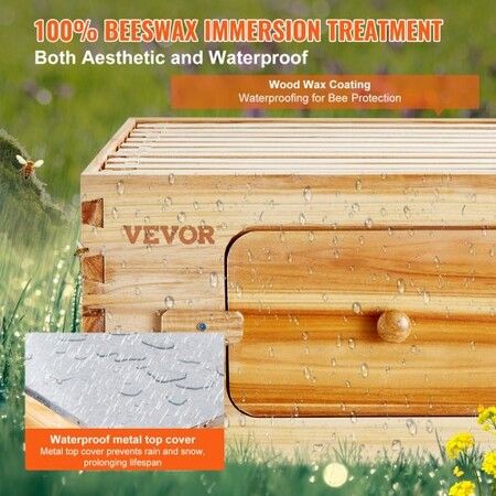 Bee Hive 20 Frame Bee Hives Starter Kit, Beeswax Coated Cedar Wood, 1 Deep + 1 Medium Bee Boxes Langstroth Beehive Kit, Transparent Acrylic Windows with Foundations for Beginners Pro Beekeepers