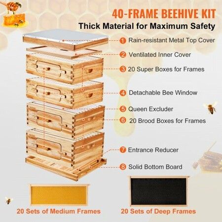 Bee Hive 40 Frame Bee Hives Starter Kit, Beeswax Coated Cedar Wood, 2 Deep + 2 Medium Bee Boxes Langstroth Beehive Kit, Transparent Acrylic Windows with Foundations for Beginners Pro Beekeepers