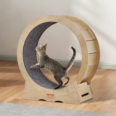 Cat Exercise Wheel Large Cat Treadmill Wheel for Indoor Cats 29.5 inch