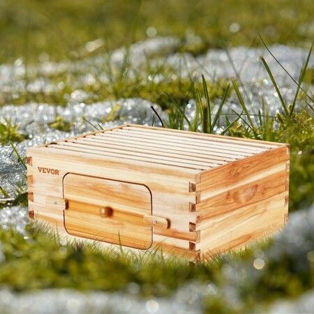 Bee Hive Deep Box Starter Kit, 100% Beeswax Coated Natural Cedar Wood, Langstroth Beehive Kit with 10 Frames and Foundations, Transparent Acrylic Bee Windows for Beginners and Pro Beekeepers