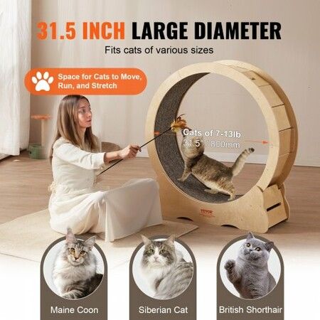 Cat Exercise Wheel Large Cat Treadmill Wheel for Indoor Cats 35.8 inch