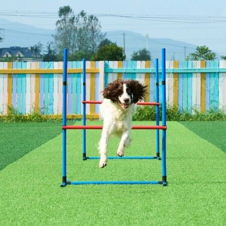 Dog Agility Training Equipment 7 PCS Set Upgrade w/ Hurdles 2 Tunnels Ring