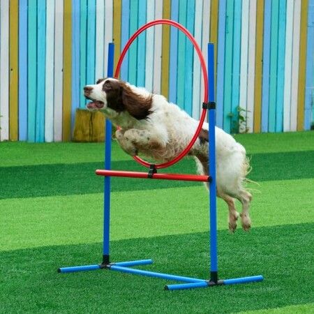 Dog Agility Training Equipment 5 PCS Combination Set with Hurdles Tunnel