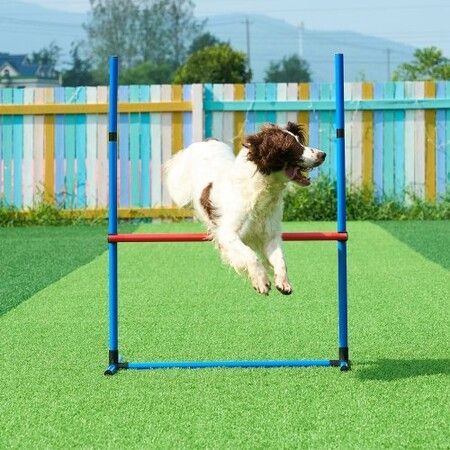 Dog Agility Training Equipment 4 PCS Set with Hurdles Jump Ring Pause Box