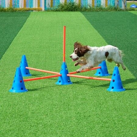 Dog Agility Hurdle Cone Set 6 PCS Kit-12 xCones 6 xAgility Rods with Bag