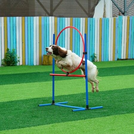 Dog Agility Training Equipment 5 PCS Set Upgrade w/ Hurdles Extended Tunnel