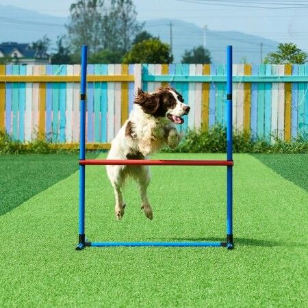 Dog Agility Training Equipment 5 PCS Set with Hurdles Tunnel Jump Ring