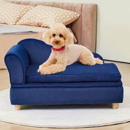 Pet Sofa, Dog Couch for Medium-Sized Dogs and Cats, 30x18x16 inch Soft Velvety Dog Sofa Bed, 37kg Loading Cat Sofa, Blue