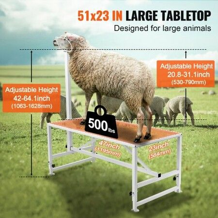 Goat & Sheep Stand, 47x23 inch Livestock Stand, Metal Livestock Milking and Shearing Stand 21" to 33" Adjustable Height, with Headpiece and Nose Loop, 500lbs Loading Weight, White