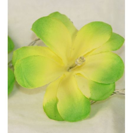 1 Set of 20 LED Green Frangipani Flower Battery String Lights Christmas Gift Home Wedding Party Decoration Outdoor Table Garland Wreath