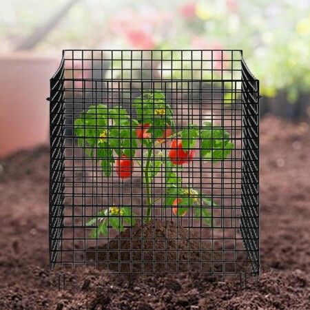 10 Pack Plant Protector from Animals 305 mm x 305 mm Metal Plant Cage