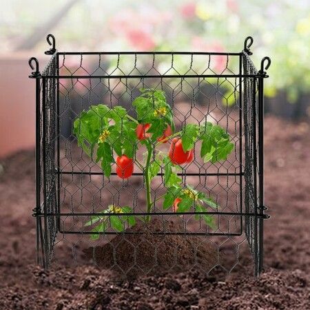 5 Pack Plant Protector from Animals 340 mm x 340 mm Metal Plant Cage