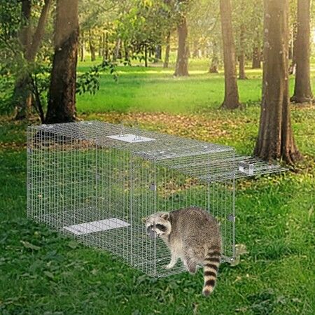 Live Animal Cage Trap 42" x 16" x 18" Humane Cat Trap Cats Squirrels Mouse