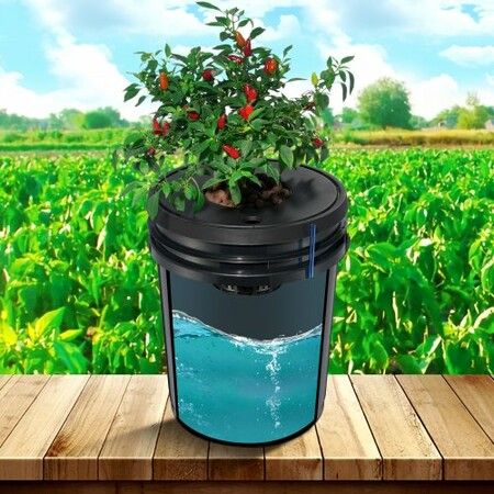 DWC Hydroponics Grow System Deep Water Culture 4 Buckets with Air Pump