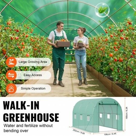 Walk-in Tunnel Greenhouse 9.58x6.43x6.23ft Galvanized Frame PE Cover Green