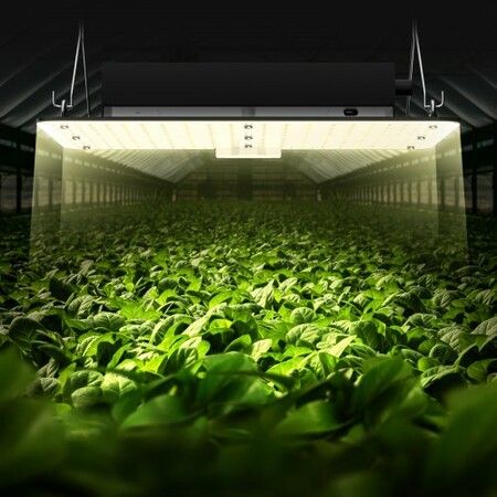 LED Grow Light, 150W Full Spectrum Dimmable, High Yield Samsung 2B1B Diodes Growing Lamp for Indoor Plants Seedling Veg and Bloom Greenhouse Growing, Daisy Chain Driver for 3 x 3 ft Grow Tent