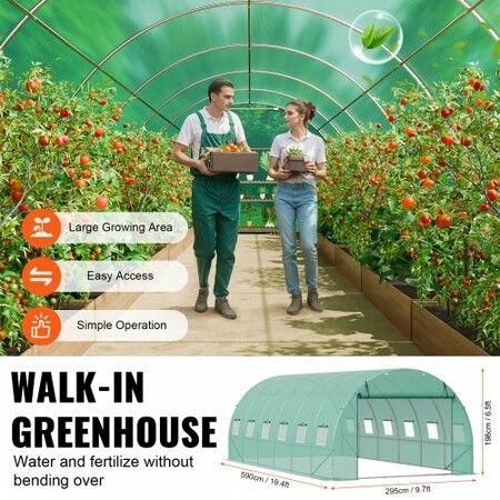 Walk-in Tunnel Greenhouse 19.36x9.68x6.5ft Galvanized Frame PE Cover Green