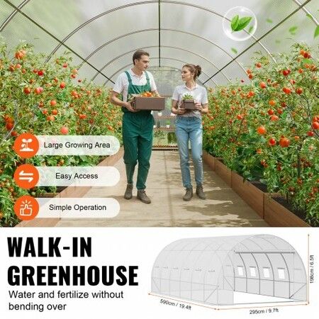 Walk-in Tunnel Greenhouse 19.36x9.68x6.5ft Galvanized Frame PE Cover White