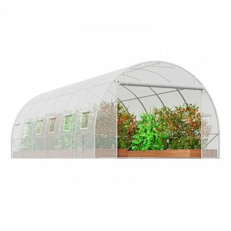 Walk-in Tunnel Greenhouse 19.36x9.68x6.5ft Galvanized Frame PE Cover White