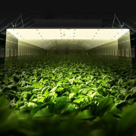 LED Grow Light, 400W Full Spectrum Dimmable, High Yield Samsung 2B1B Diodes Growing Lamp for Indoor Plants Seedling Veg and Bloom Greenhouse Growing, Daisy Chain Driver for 4x4/5x5 ft Grow Tent