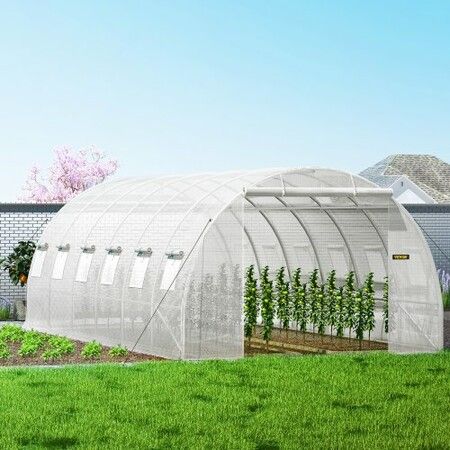 Walk-in Tunnel Greenhouse Galvanized Frame Waterproof Cover 20x10x7 ft